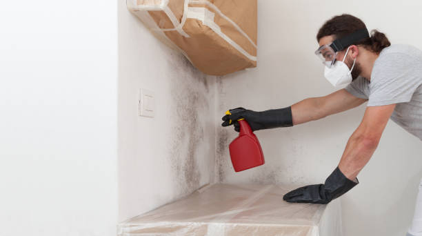 Professional Bathroom Mold Removal technician working in Lawrenceville, NJ