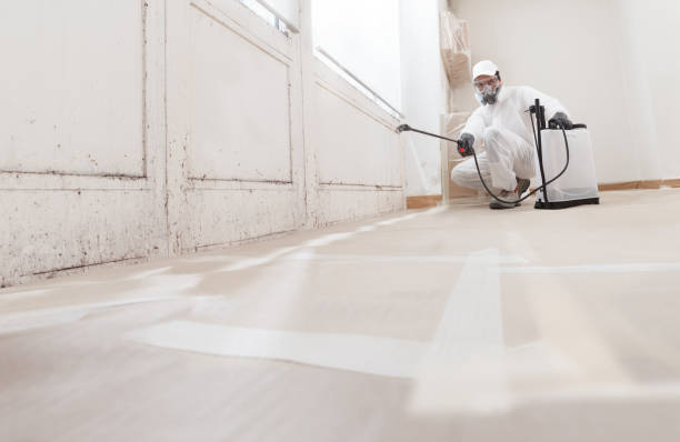 24/7 Emergency Bathroom Mold Removal experts in Lawrenceville, NJ