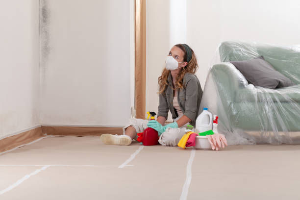 Reliable Bathroom Mold Removal contractor in Lawrenceville, NJ by WQB Mold Removal
